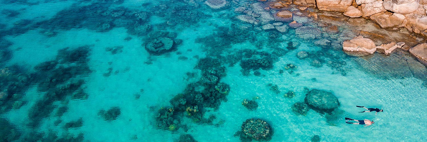 Snorkelling over the Great Barrier Reef