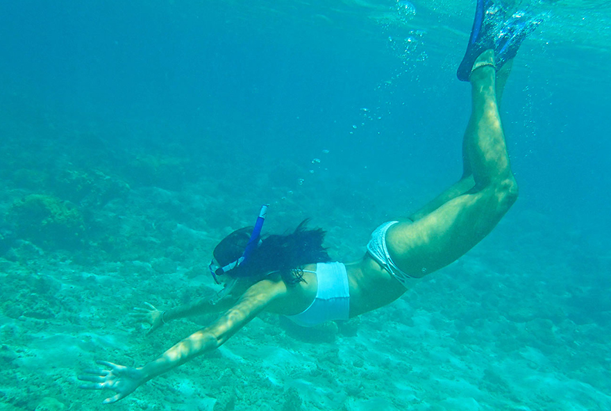 Diving on the Great Barrier Reef