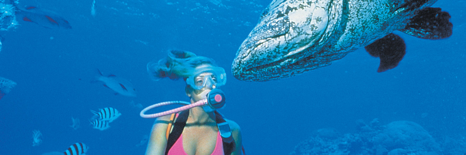 Scuba diver with a large fish on Lizard Island