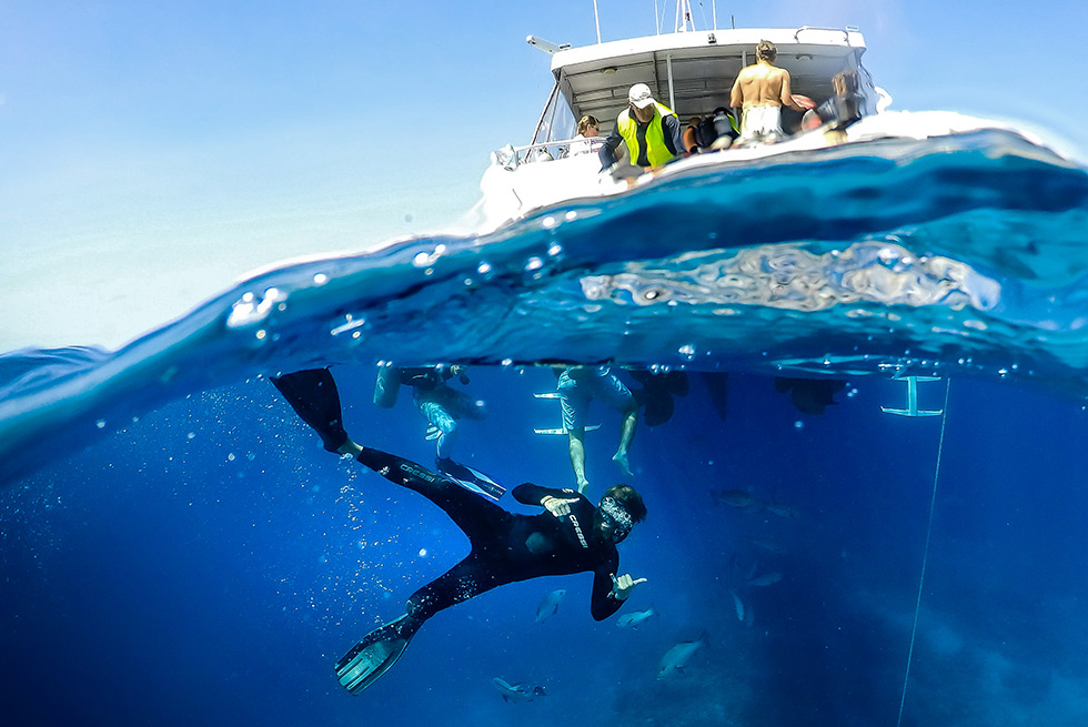Diving on the Great Barrier Reef