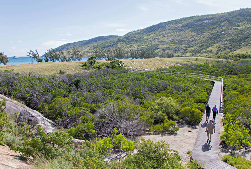 Walk with a naturalist to gain local insights and see the passion for Lizard Island.