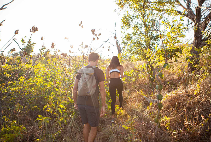 Take a walk to see the views at Cook's Look.