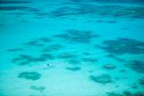 Swimming over the reef