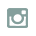 Instagram Icon