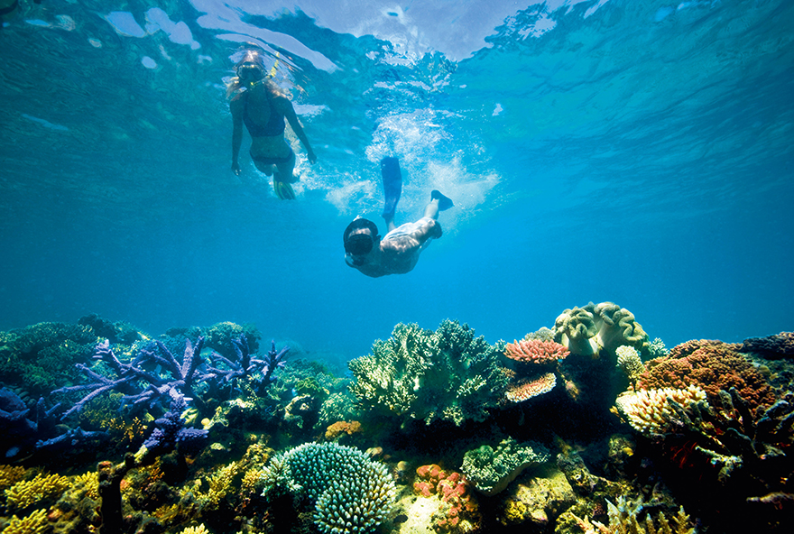 Explore the colourful reefs around Lizard Island with the Dive Package.